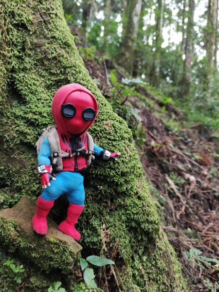 2023.12.27 東眼山2838860