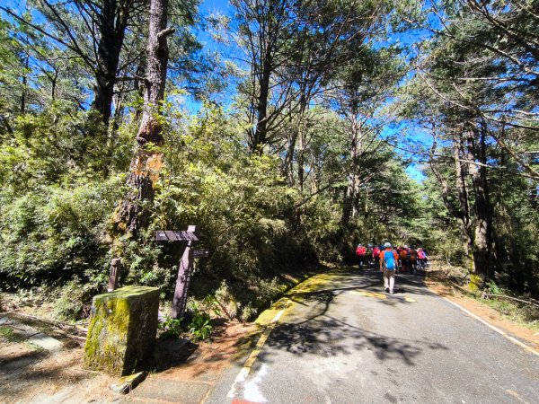 2025-08-24 塔塔加-大鐵杉-鹿林山莊-鹿林前山-鹿林山-黑森林-玉山登山口-上東埔2869083
