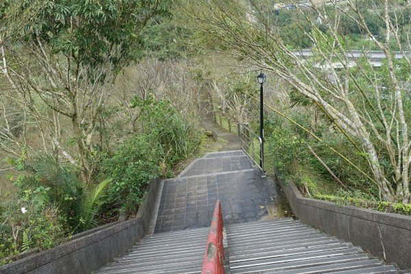 觀音台 水柳腳登山步道3085153