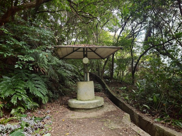 [淡蘭古道] 2026_0523 南路第一段_妙高台步道3069501