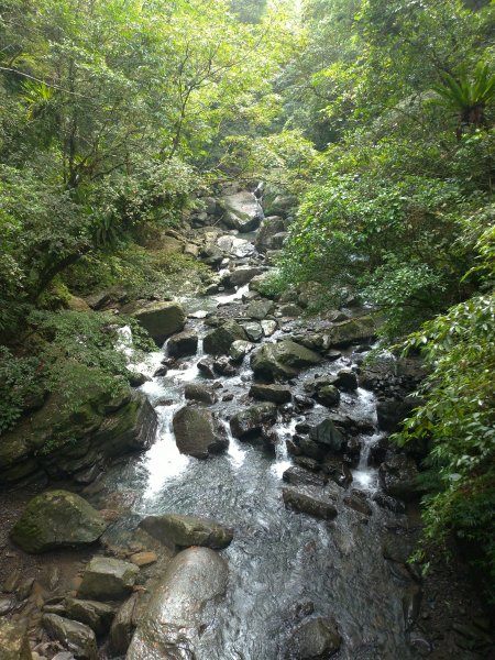 滿月圓森林步道509225