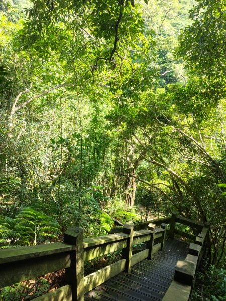 四寮溪生態步道2882184