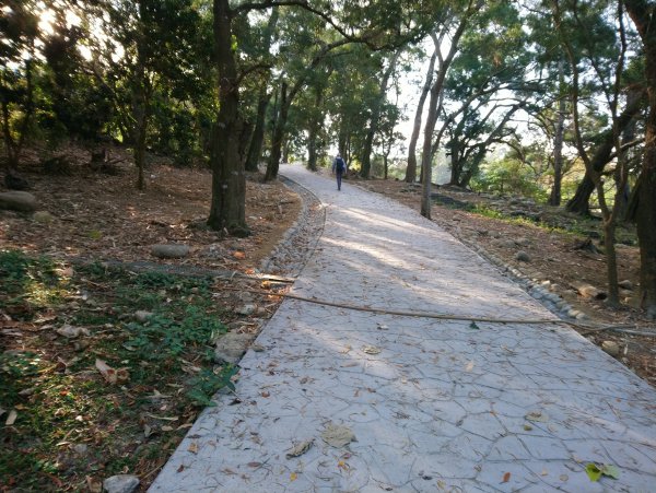 大坑步道全包一起登( 2 3維修)747616