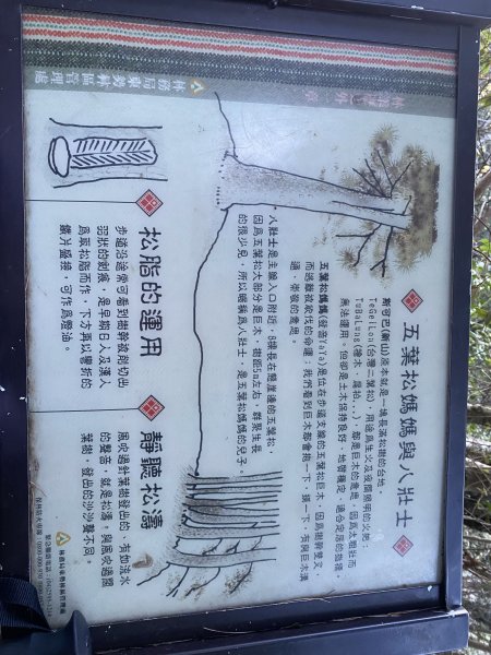 馬崙山11202103059276