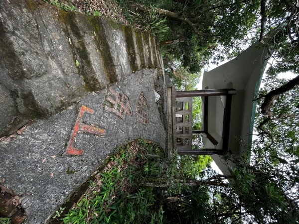 內湖鯉魚山之旅2811732