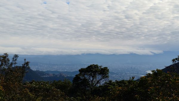 20260125 陽明山前後山健行(無極天元宮~山仔頂步道.向天池.向天山.面天山.二子坪)2998066