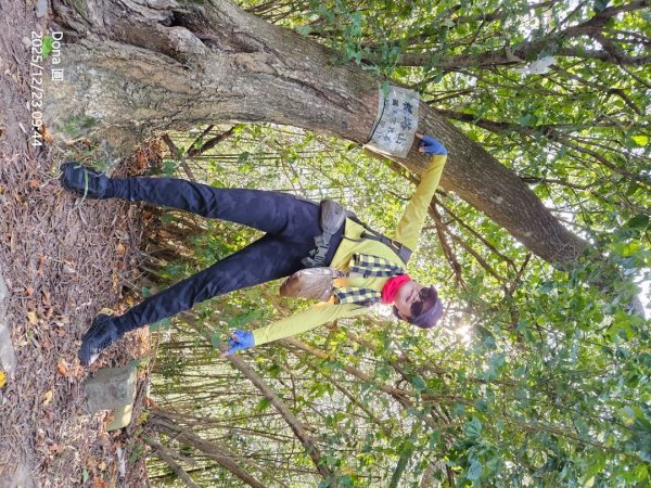 20251223芎林文林古道O走+雞寮坑山+芎林顯伯公野餐2975919