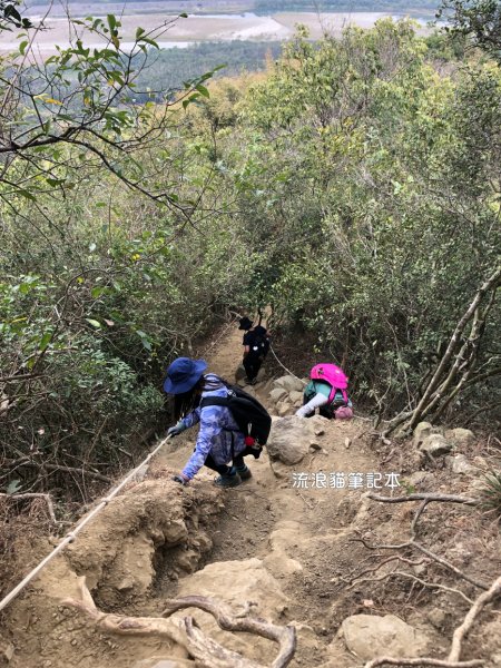 【小百岳】旗尾山，旗靈縱走，步道巨石錯落，攀繩陡坡，具有挑戰性2289349