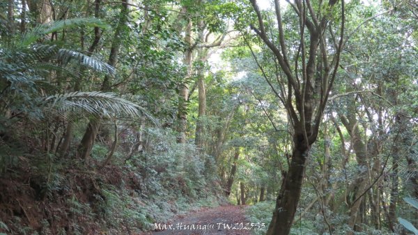 《苗栗》關刀出關｜三義關刀山出關古道(聖關段-苗56)202509052878864