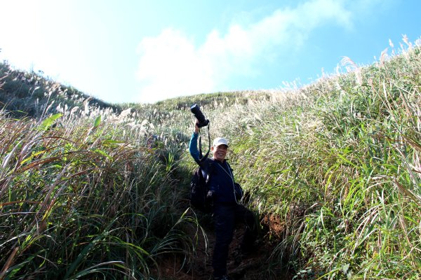 【金瓜石】漫山芒花怒放浪漫，礦山藍海奇景夢幻！2964009