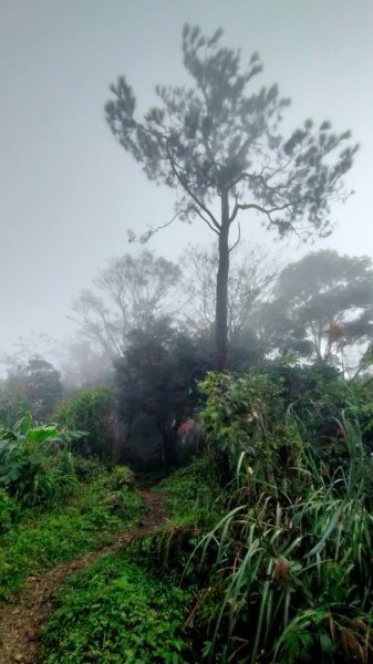 關刀山2645297