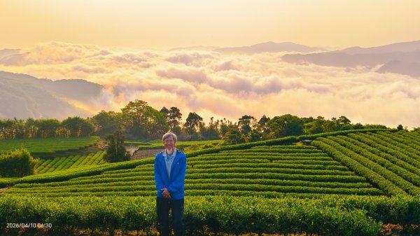 #坪林 #日出 #雲海 #茶園 4/103033090