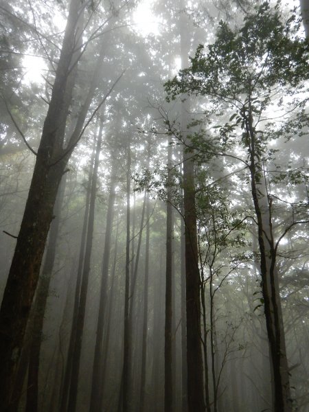 1081011谷關之首八仙山698675