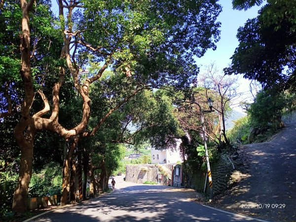 半嶺步道、松溪瀑布、橫嶺古道、湖山綠地【發現陽明山、走路趣尋寶、健康大穀東】2321346