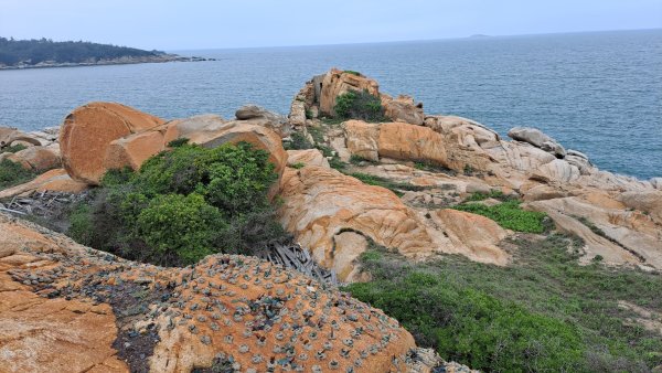 金門：獅山、東村炮測基地2487787
