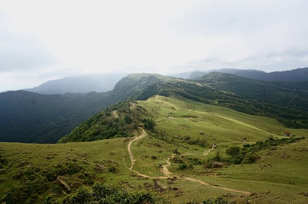 灣坑頭山 桃源谷步道 連走2034773