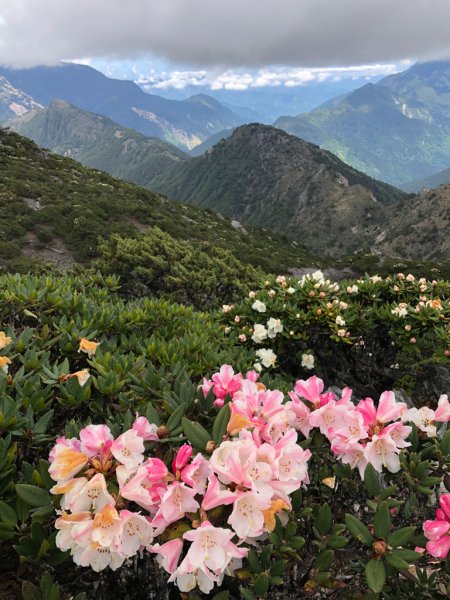 202505八大秀2874061