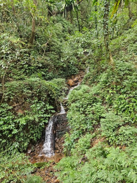 20241229貢寮到大溪(長潭山-西山-丁蘭山-三方向山-鹿窟尾山-睏牛山)2678872