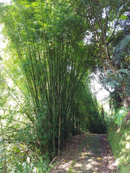 1100815平溪子山-畝畝山-石硿子古道、石硿子瀑布1440538