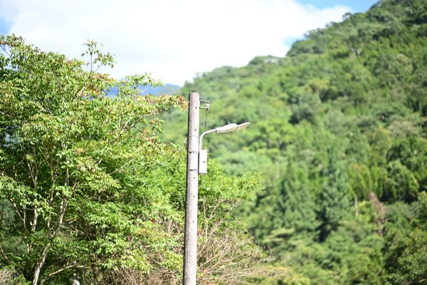 2025_0628 溪瀧步道2824967