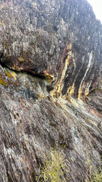 東埔-排雲-玉山西峰-玉山主峰2753163
