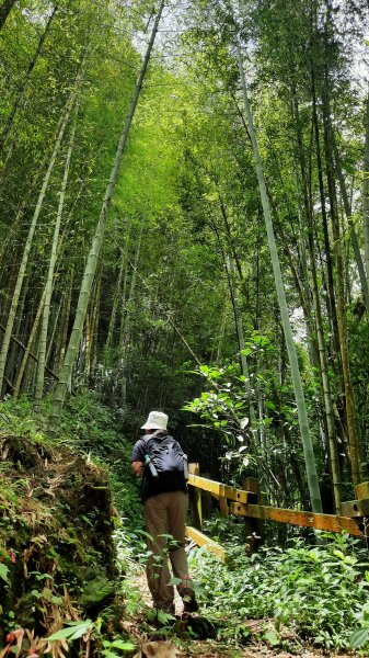 《嘉義》悠晃水社寮｜四大天王山步道O繞202207101759183