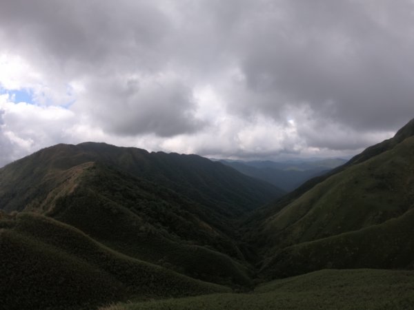 宜蘭抹茶山777439