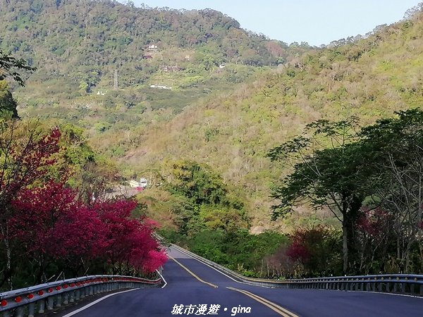 手腳並用之虎山行。 水雲三星~虎山步道1300651