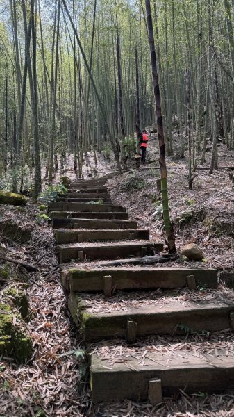 20250427小百岳石壁山2776725