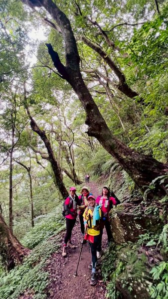 🌈7/5（日）東滿縱走（東眼山~滿月圓）FB：熊熊趴爬走(富裕登山社)🌈3082875