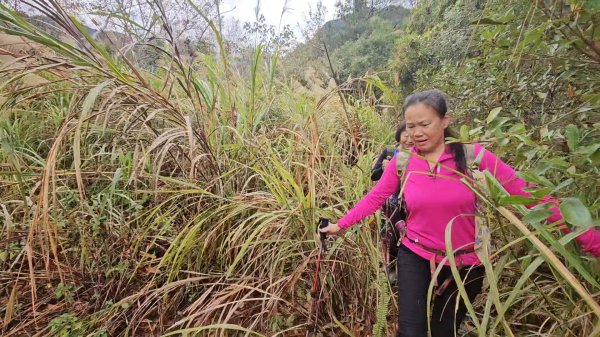 20251220上谷關山縱走四連峰2974350