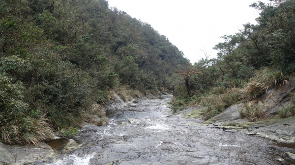 竹子山古道尋幽，阿里磅瀑布溯源31106