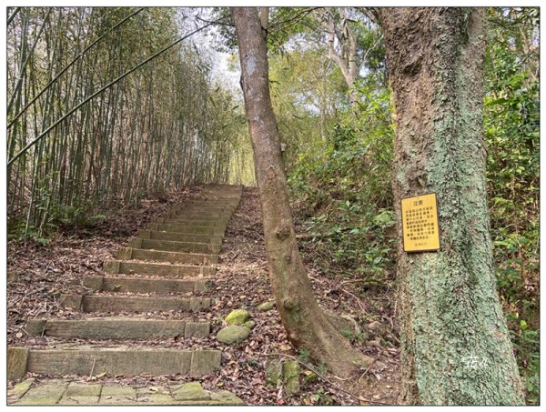 火炎山、龍峎頂步道 O型路線2783753