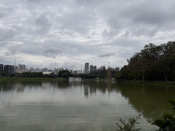 [紐約馬之行-68] 2025_1116 伊比拉布埃拉公園-中2955124