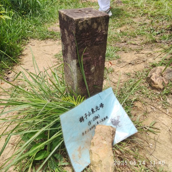 2025/06/24 鵲子山3000113