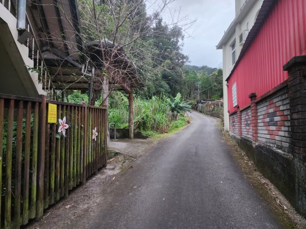 20241208上坪登五指山2683651