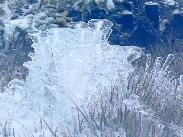 合歡銀白北國風情追雪趣 20211111235463