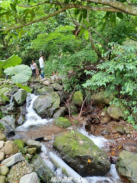 【新北石門】全台唯一火山岩石砌梯田。 嵩山百年梯田阡陌步道2823942