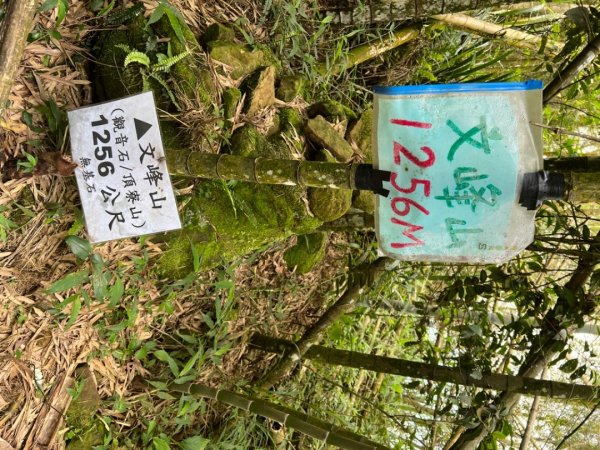 大湖尖山、天雲山，文峰山O型縱走1740175