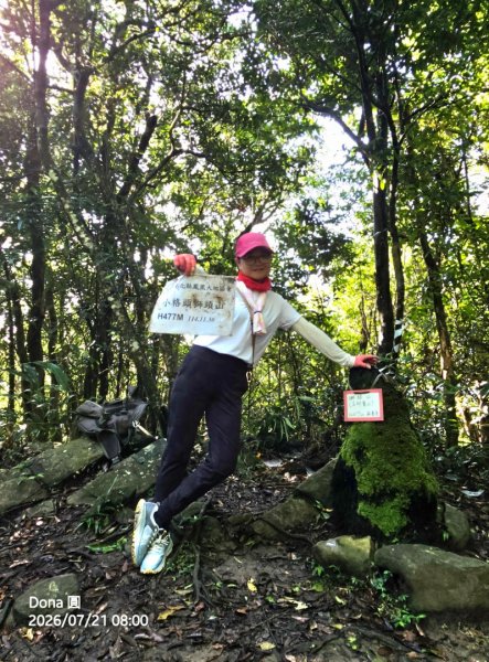 小格頭獅頭山.鱷魚島.八卦茶園3089955