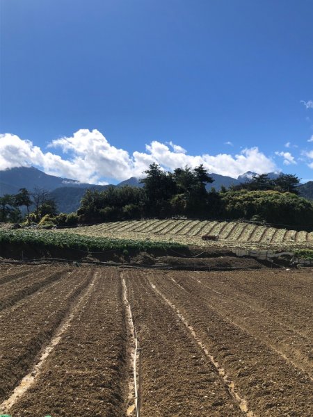 平岩山、勝光山縱走2257949