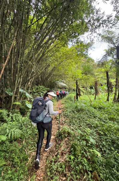 大艽芎古道縱走 新/溪州山(小百岳#23) 出溪州公園2893940