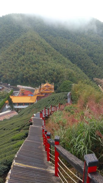 20241026程淨山林7-雲嘉抹茶山大尖二尖山JRJ淨山(雲嘉/登山/JRJ淨山)2637309