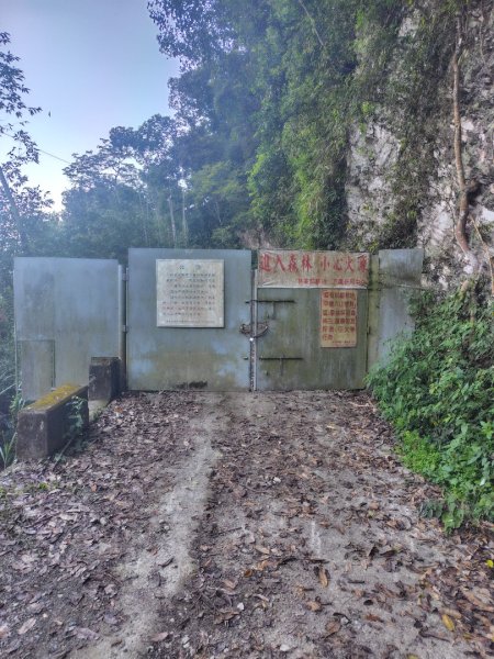 多納六秀 京大山2957571