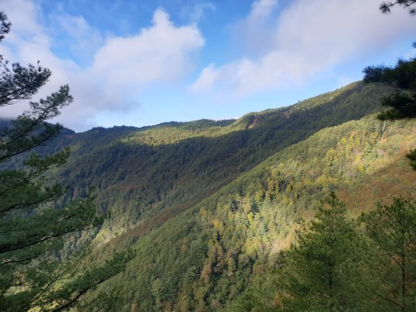 大雪山200林道北三錐山1579147