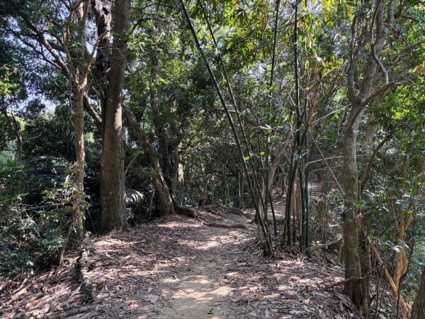 南觀音山步道2731303