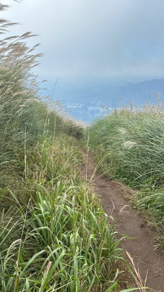 大屯山五連峰含面天山2934607