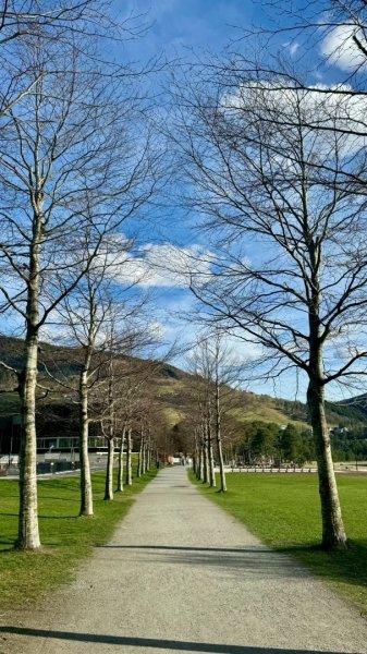 挪威🇳🇴Voss峽谷秘境2810343