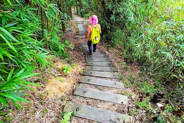 淡蘭古道中路百年山徑~暖東峽谷大環步道2846408