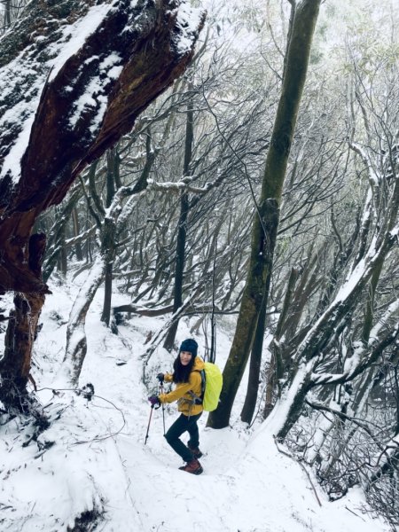 雪白的高島縱走1236447